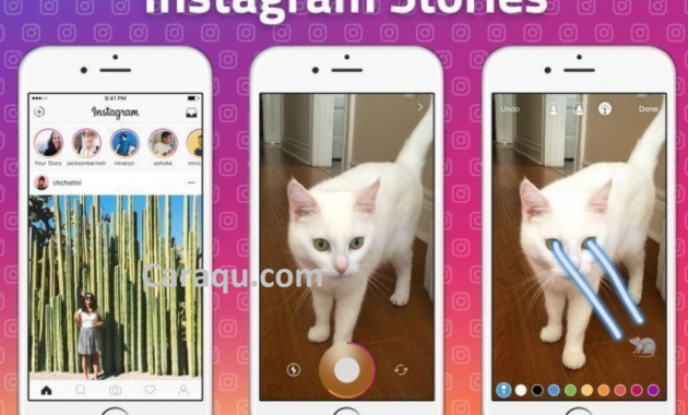 Cara Upload Gambar atau Video ke Story Instagram