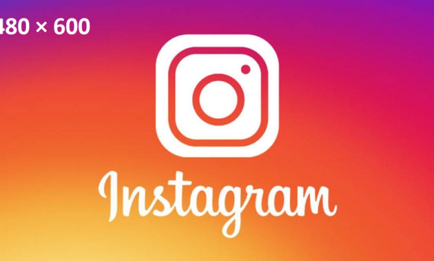 Cara Report Instagram