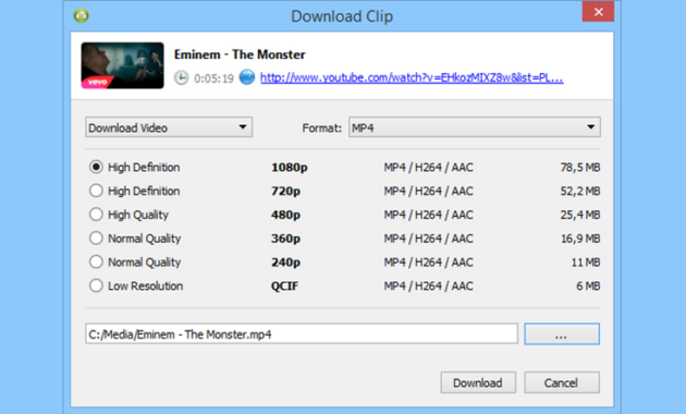 3. 4K Video Downloader