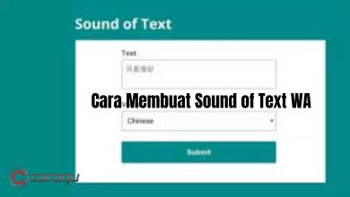 Cara Membuat Sound of Text WA